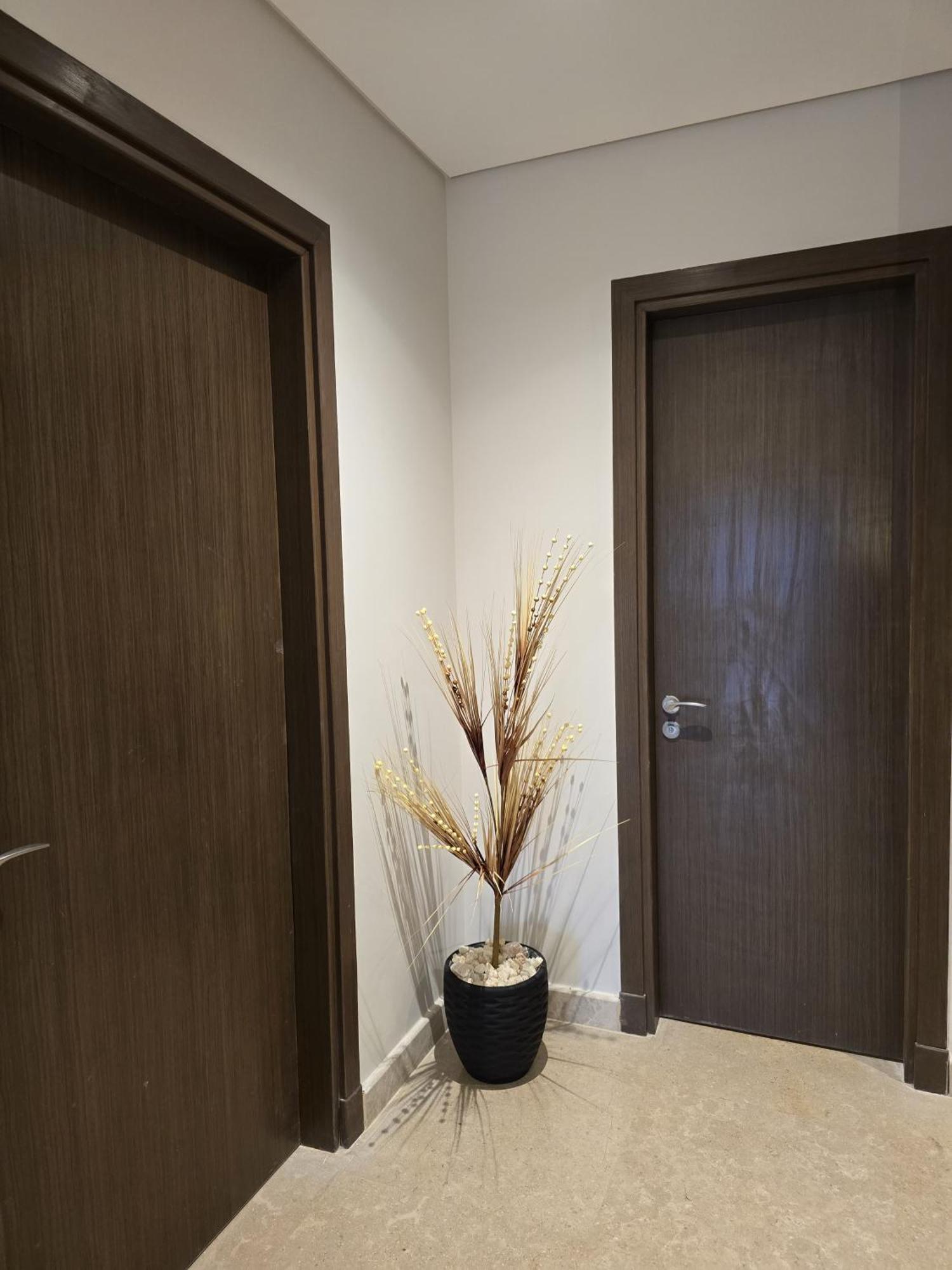 Apartment Elegant Zed Park *